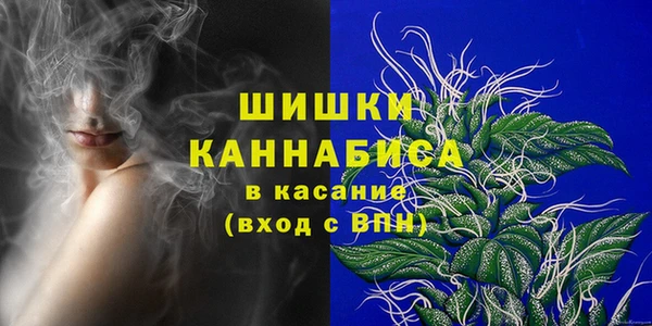 apvp Горнозаводск