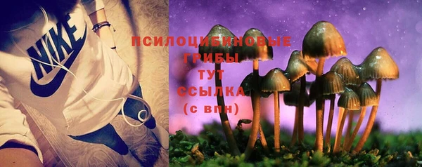 apvp Горнозаводск