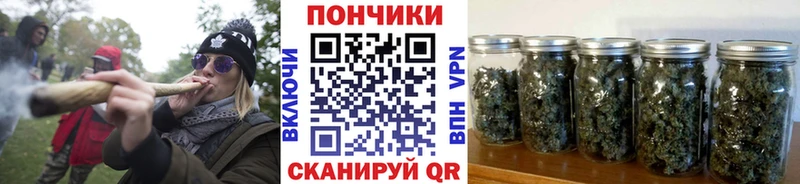 как найти закладки  блэк спрут рабочий сайт  Бошки марихуана сатива  Ногинск 